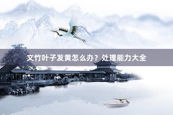文竹叶子发黄怎么办？处理能力大全