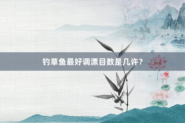 钓草鱼最好调漂目数是几许？